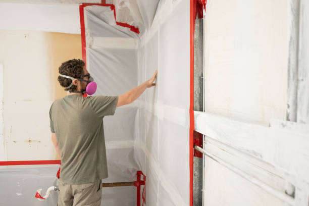 Best Basement Mold Removal  in Uniondale, NY