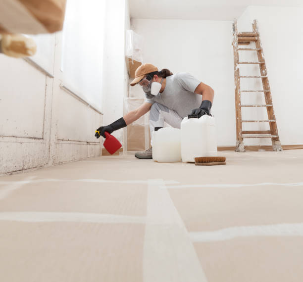 Best Post-Construction Mold Inspection  in Uniondale, NY